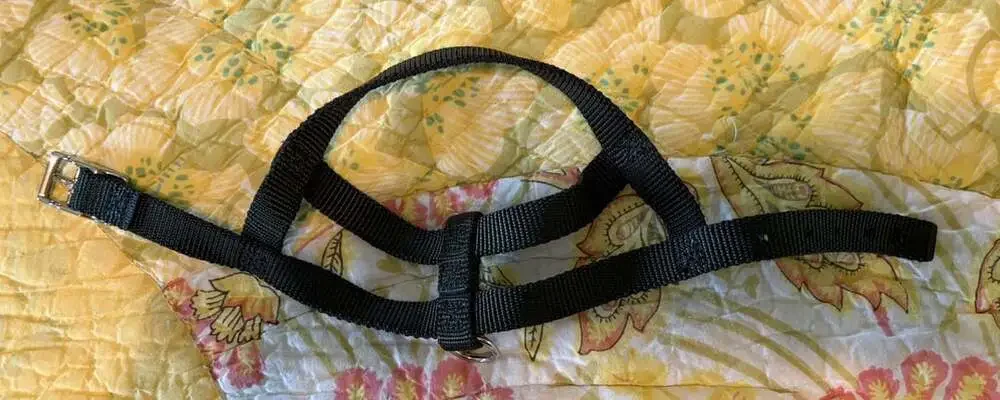 NWOT Unbranded Small Basic Step-In Dog Harness